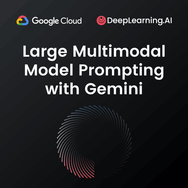 Large Multimodal Model Prompting with Gemini